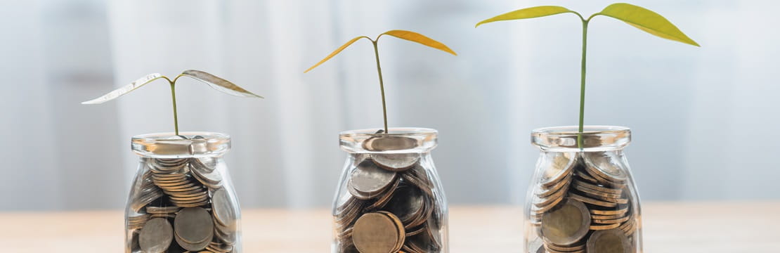 Plants growing in jar of coins.